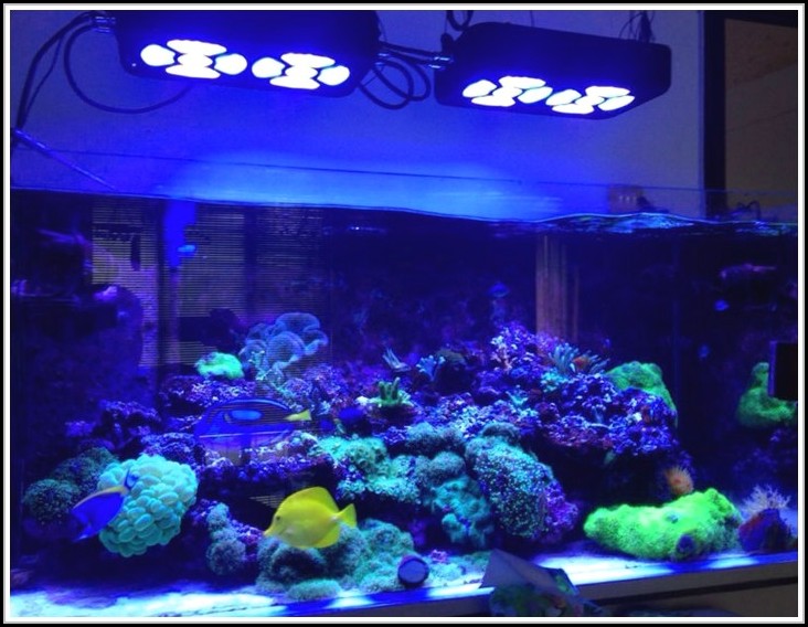 Aquarium Led Beleuchtung Selber Machen