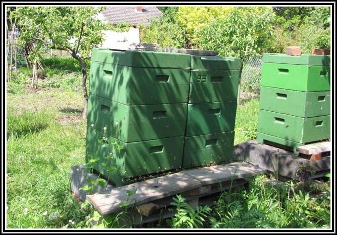 Bienenhaltung Im Garten Erlaubt