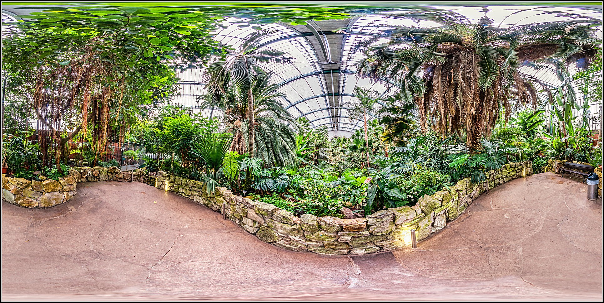 Palmengarten Botanischer Garten Frankfurt