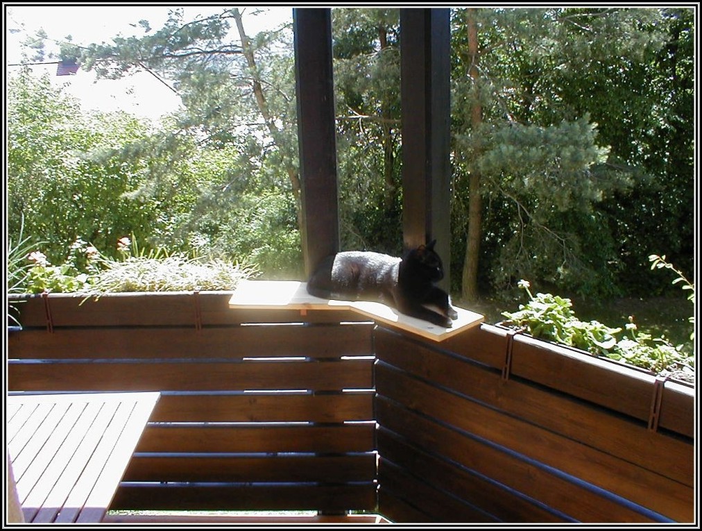 Balkon Katzensicher Machen Ohne Bohren