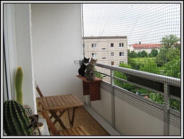Fabelhafte Katzennetz Balkon Befestigen Ohne Bohren Bilder  www inf  