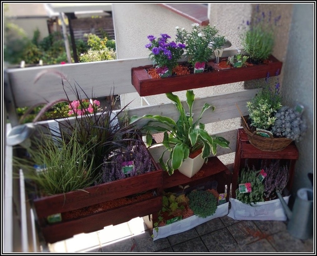 Mini Garten Auf Dem Balkon