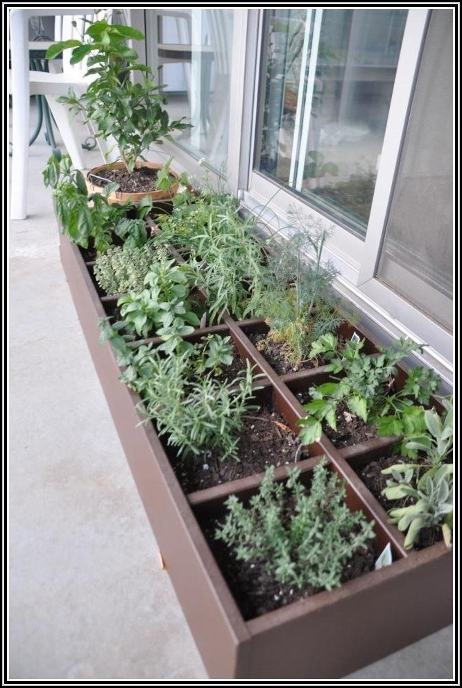Pflanzen Auf Dem Balkon Erlaubt