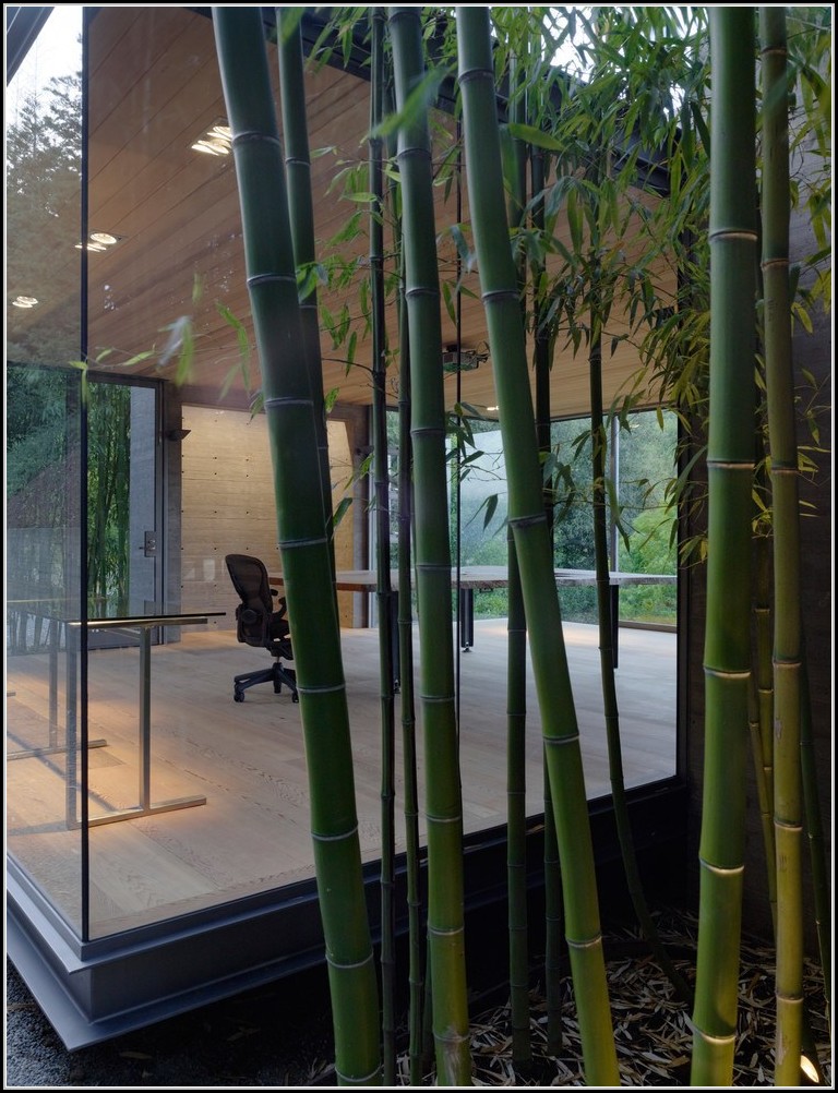 Sichtschutz Balkon Kunststoff Bambus