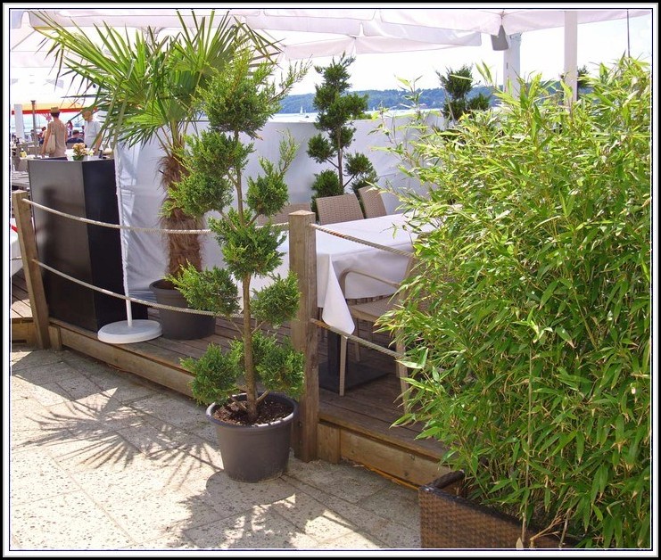 Sichtschutz Balkon Mit Pflanzen