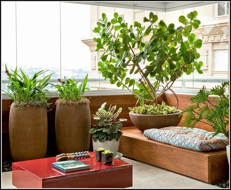 Sichtschutz Mit Pflanzen Balkon