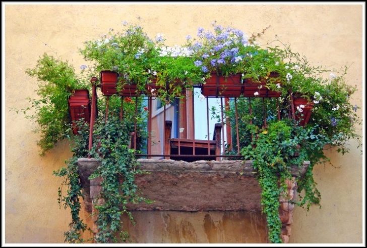 Permalink to Balkon Sichtschutz Durch Pflanzen